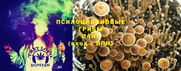 круглые Краснослободск