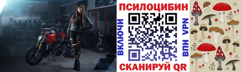 Псилоцибиновые грибы Cubensis  Купить закладки  Ленск 